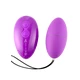 Cnex Egg Remote Control 10 Violet - Wibrujące jajeczko sterowane pilotem, fioletowe