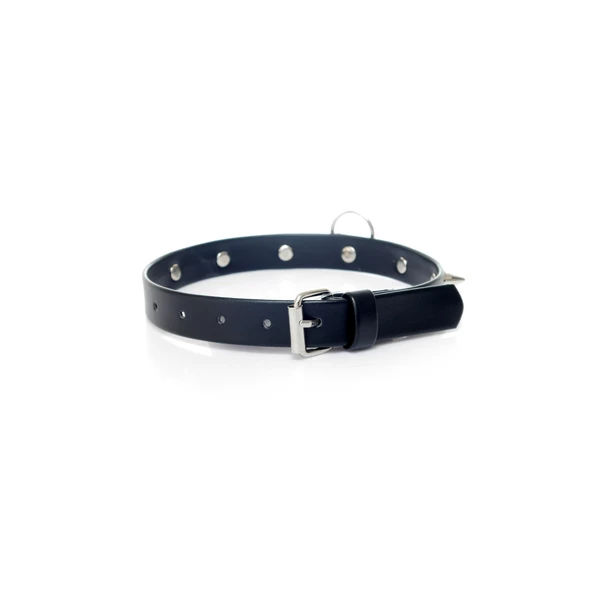 Fetish Fantasy Collar With Studs 2 Cm - Obroża na szyję z kolcami