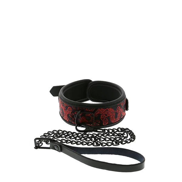 Dream Toys Blaze Deluxe Collar &amp; Leash - Obroża ze smyczą