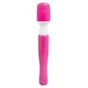 Pipedream Wanachi Mini Massager Pink - Wibrator wand, różowy