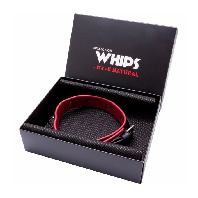Whips Collection - Obroża Damska Średnia