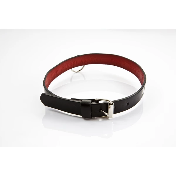 Whips Collection - Obroża Damska, Cienka
