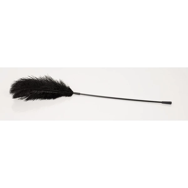 Bad Kitty Black Feather Bad Kitty - Piórko