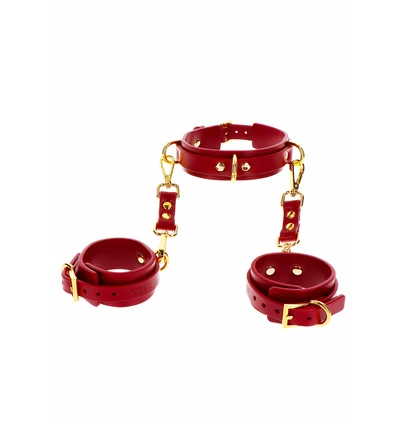 Taboom D Ring Collar And Wrist Cuffs - Kajdanki z obrożą do krępowania