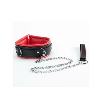 ARGUS Red Collar And Leash - Obroża ze smyczą
