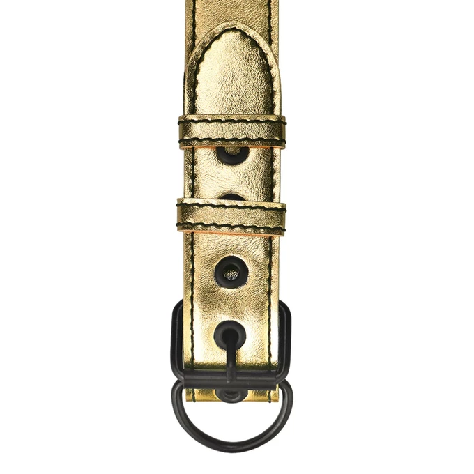 Lovetoy Bondage Fetish Metallic Pup Collar With Leash gold - Obroża ze smyczą, Złoty