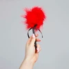 Secret Play Mini Red Feather Tickler - Piórko do łaskotania, Czerwony