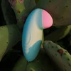 Satisfyer Tropical Tip Light Blue - Wibrator łechtaczkowy sterowany aplikacją mobilną, Niebieski