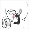 Rebel Prostate Plug Recharge - Wibrujący masażer prostaty