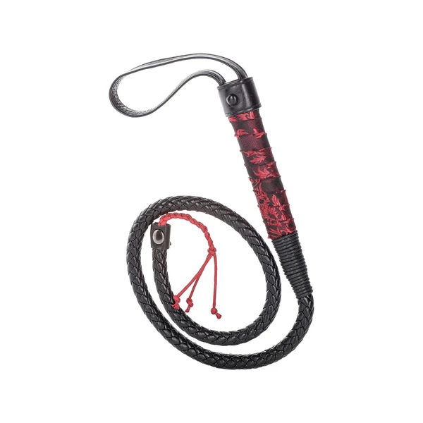 BULL WHIP - bat