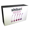Shibari Pleasure Cherry Kegel Balls (Multi Weighted/5 pack) - kulki gejszy