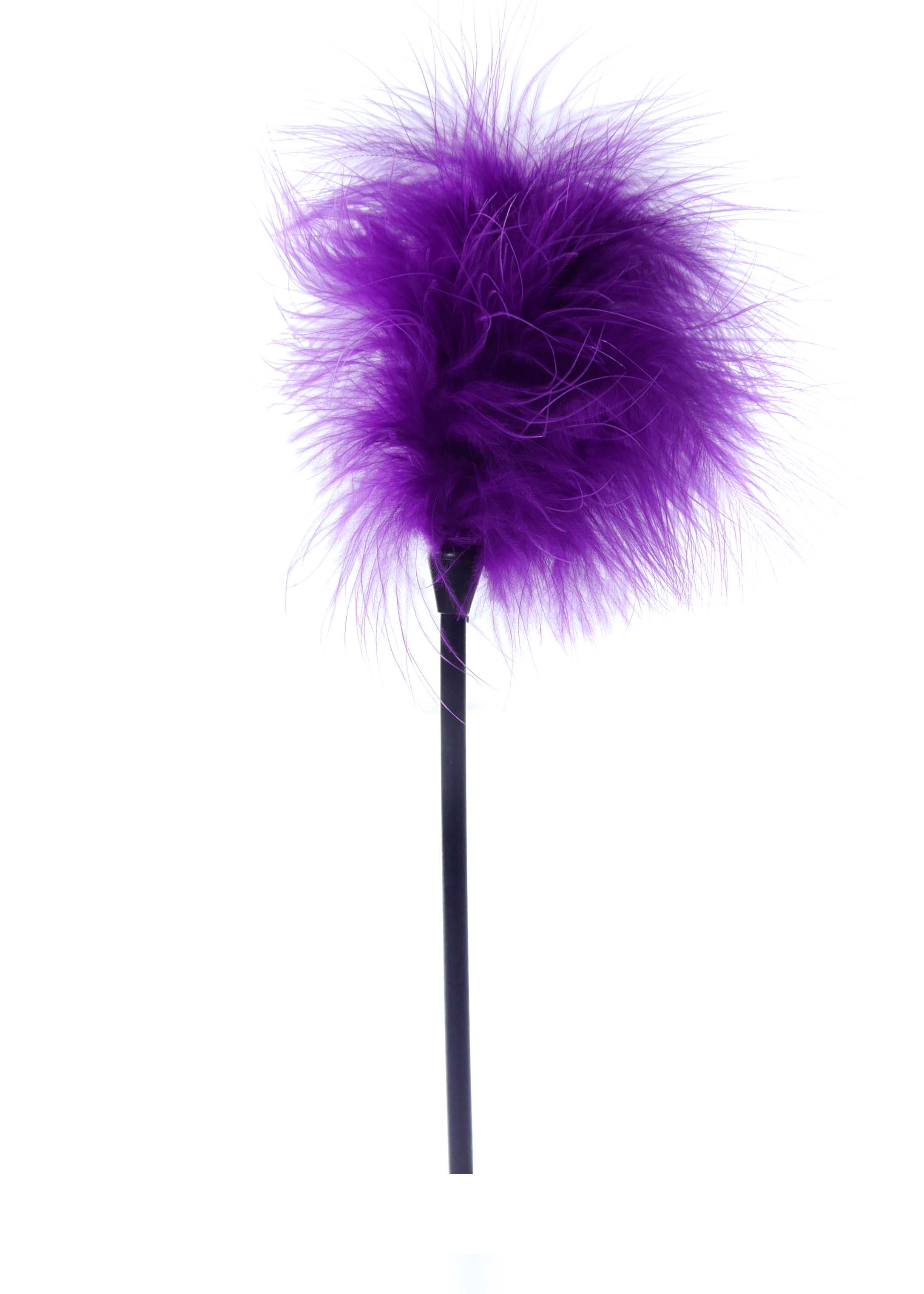 Boss Series Feather Tickler Purple - Piórko do łaskotania, fioletowe ▶️▶️ DYSKRETNIE ▶️ GWARANCJA ▶️ PRZESYŁKA 24h ▶️