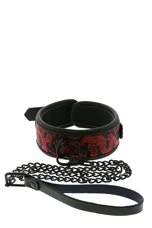 Dream Toys Blaze Deluxe Collar & Leash - Obroża ze smyczą ▶️▶️ DYSKRETNIE ▶️ GWARANCJA ▶️ PRZESYŁKA 24h ▶️