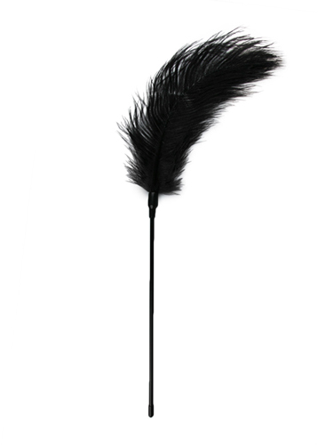 Easy Toys Black Feather Tickler - Piórko do łaskotania, czarne ▶️▶️ DYSKRETNIE ▶️ GWARANCJA ▶️ PRZESYŁKA 24h ▶️