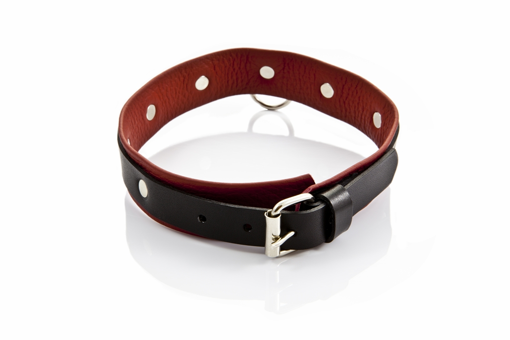 Whips Collection - Obroża Damska Średnia ▶️▶️ DYSKRETNIE ▶️ GWARANCJA ▶️ PRZESYŁKA 24h ▶️