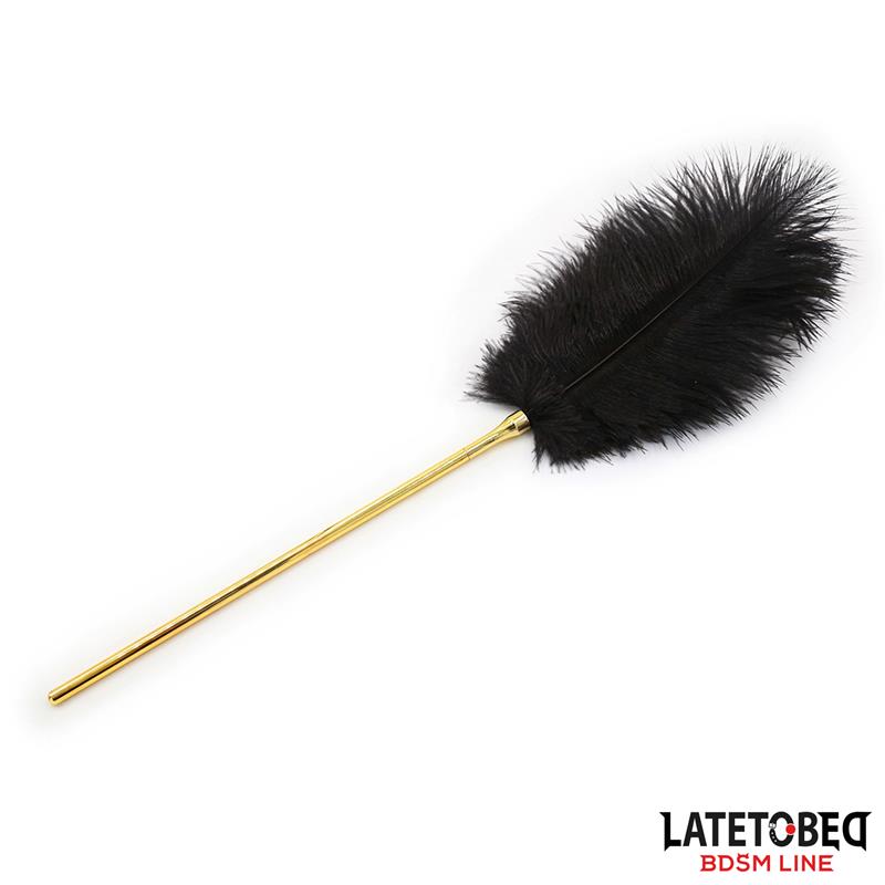 Latetobed Feather 41 cm - Eleganckie piórko do łaskotania ⚫DYSKRETNA PRZESYŁKA 24h Z POLSKI ⚫